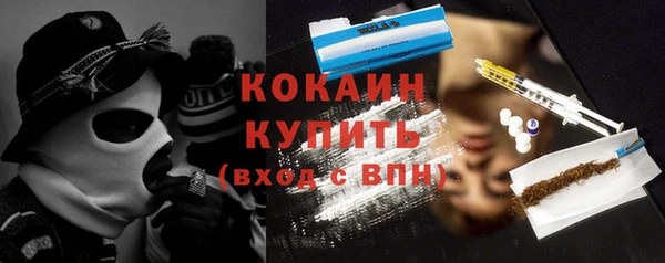 шишки Белокуриха
