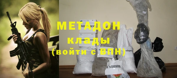 шишки Белокуриха