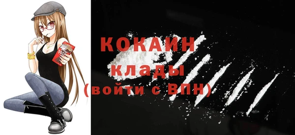 шишки Белокуриха