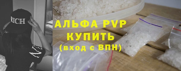 шишки Белокуриха