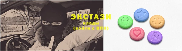 шишки Белокуриха