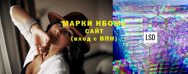 шишки Белокуриха
