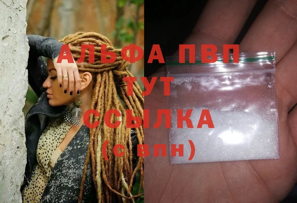 шишки Белокуриха