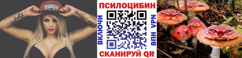 Псилоцибиновые грибы Psilocybe  Купить где  Горячий Ключ 